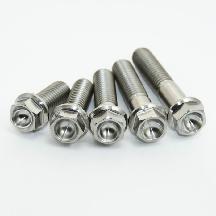 Scar Titanium Bout M6x55 (per stuk)